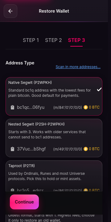 A list of address type cards, each naming a derivation model and showing any balance found on it. Continue at the bottom is disabled while the wallet scans derivation paths for existing balances.