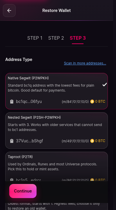 A list of address type cards, each naming a derivation model and showing any balance found on it. Continue at the bottom is disabled while the wallet scans derivation paths for existing balances.