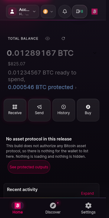 The home screen populated from the performance lab synthetic fixture. A balance block shows a total, an available portion, and a held-back portion with an ownership line. The protected-output summary lists held outputs. The network header and account switcher sit above.