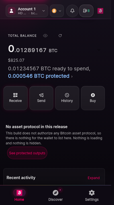 The home screen populated from the performance lab synthetic fixture. A balance block shows a total, an available portion, and a held-back portion with an ownership line. The protected-output summary lists held outputs. The network header and account switcher sit above.