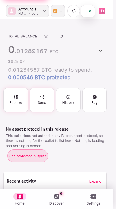 The home screen populated from the performance lab synthetic fixture. A balance block shows a total, an available portion, and a held-back portion with an ownership line. The protected-output summary lists held outputs. The network header and account switcher sit above.