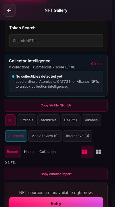 The NFT gallery screen in its offline state. The header reads NFT Gallery. The grid area shows an explicit unavailable state rather than an empty grid.