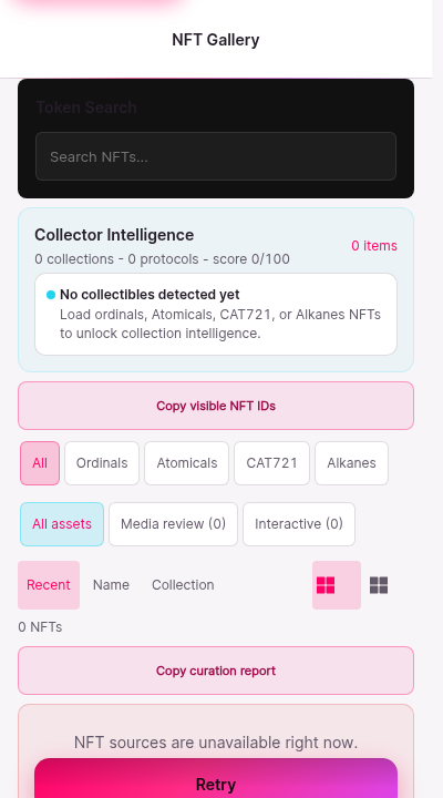The NFT gallery screen in its offline state. The header reads NFT Gallery. The grid area shows an explicit unavailable state rather than an empty grid.