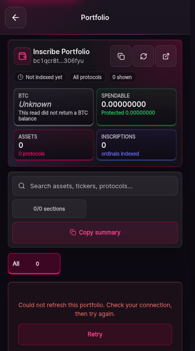 The portfolio analytics screen in its offline state. The header reads Portfolio. The chart area shows an explicit unavailable state rather than an empty chart.