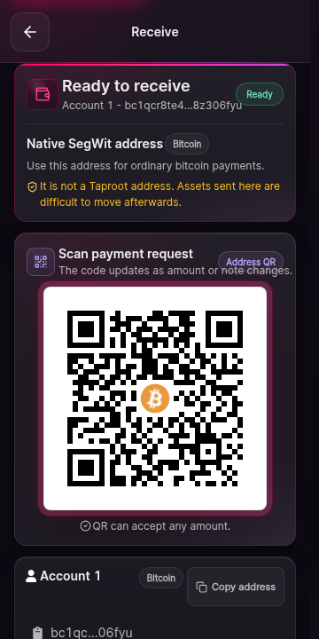 The receive screen. Text states the wallet is ready to receive. Controls for choosing the receiving address and copying or revealing it appear once an address is selected. The network name is shown near the header.