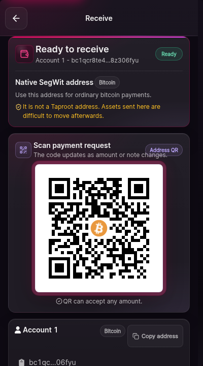 The receive screen. Text states the wallet is ready to receive. Controls for choosing the receiving address and copying or revealing it appear once an address is selected. The network name is shown near the header.