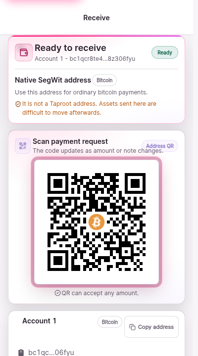 The receive screen. Text states the wallet is ready to receive. Controls for choosing the receiving address and copying or revealing it appear once an address is selected. The network name is shown near the header.