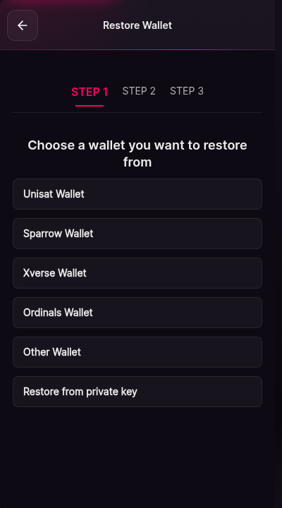 A selection screen listing import sources as radio cards. The Unisat Wallet card is highlighted because the walk selected it. Each card names a source and a short description of what it imports.