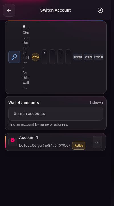 The account switcher screen. A list shows Account 1 with its balance and address fragment, and a control to add another account. The active account is marked.