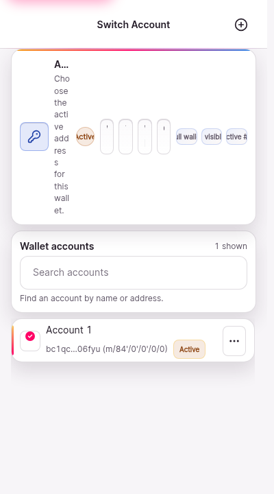The account switcher screen. A list shows Account 1 with its balance and address fragment, and a control to add another account. The active account is marked.